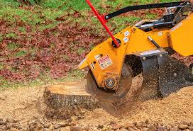 Best Weed Control  in Timberwood Park, TX